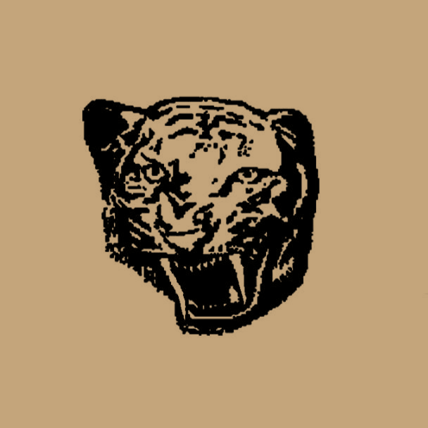 Bucktooth Tiger Logo